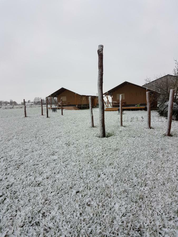 Glamping op het Zeugekot Hotel Beveren  Buitenkant foto