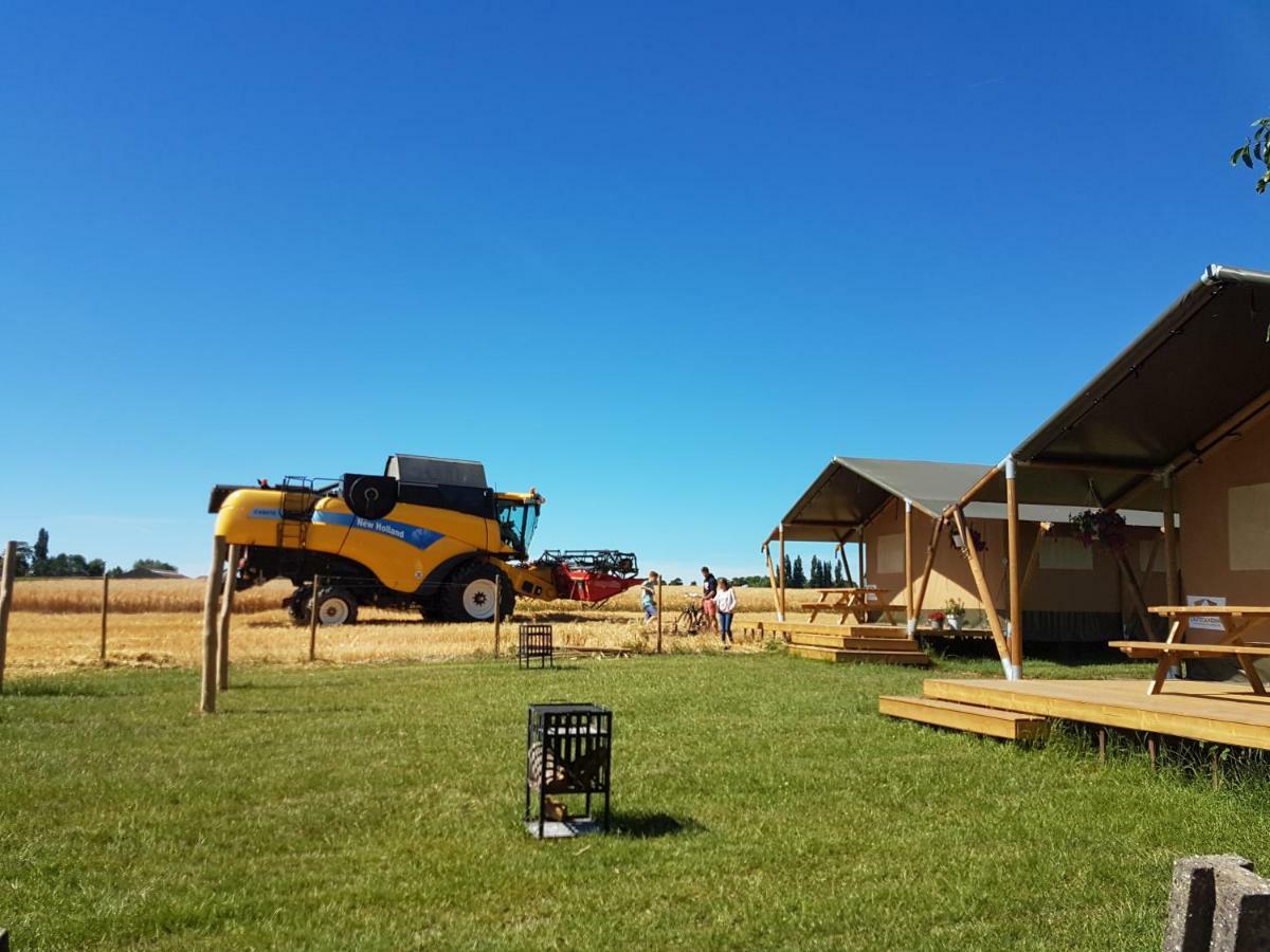 Glamping op het Zeugekot Hotel Beveren  Buitenkant foto